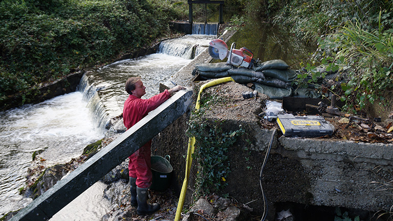 the eel pass at bidwell brook