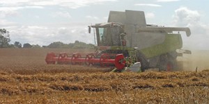 Combine harvester