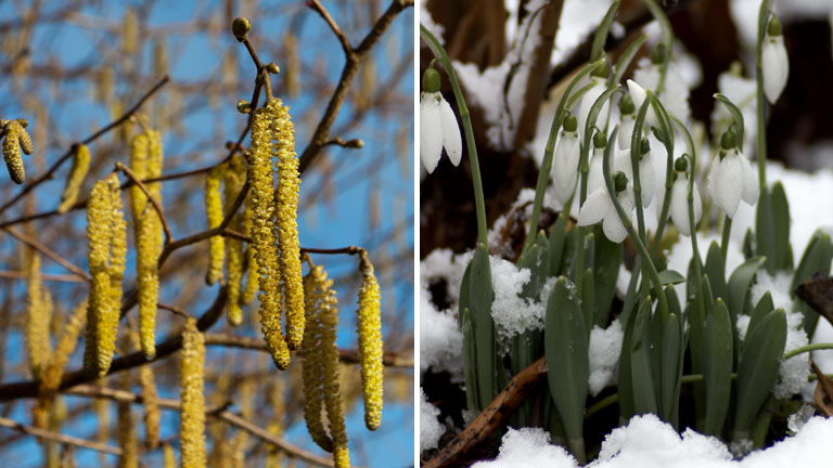 Conservation diary: Green shoots around the corner?