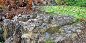 The Holy Well