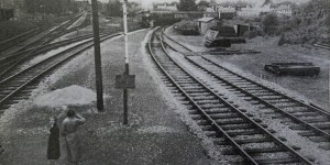 Mary and her mother, Mrs E F Yendell, watch the last Teign Valley train pull up to Heathfield station