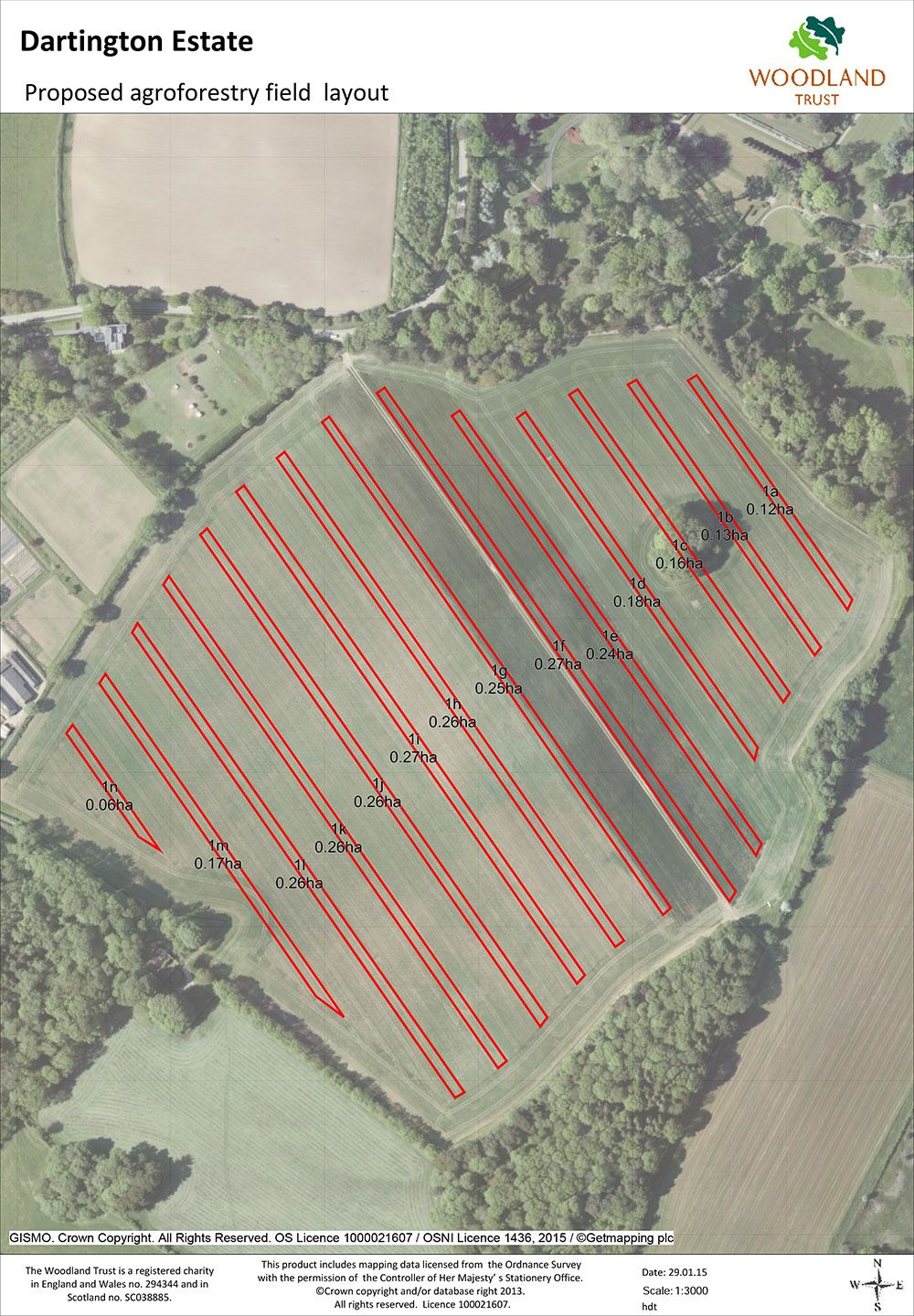 Agroforestry field proposed layout