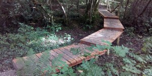 The new bridge opening up access to walkers around Peek and Redlake