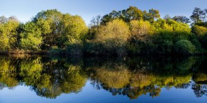 River Dart in Autumn. (c) Kim Aldis