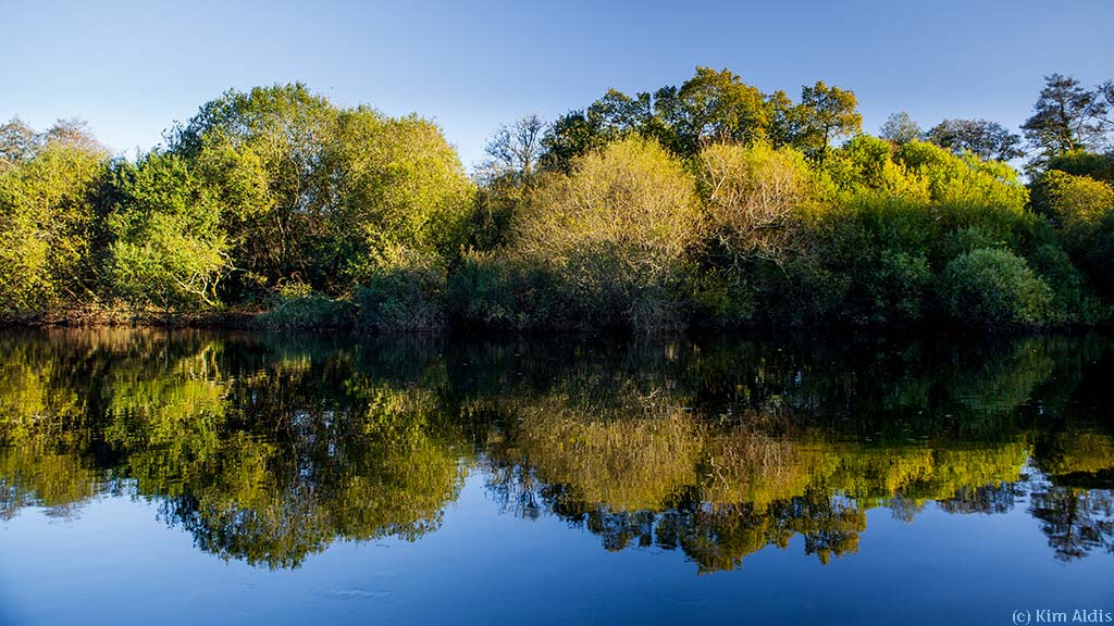 River Dart Charter Survey: What you said