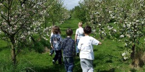 Children in Apricot Orchard. Photo: Marina O'Connell