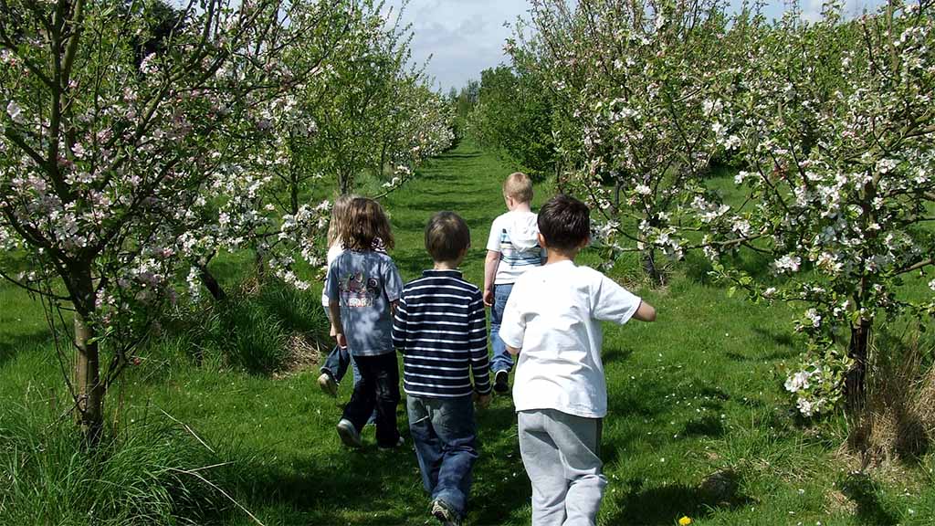 Huxhams Cross Community Farm gets off the ground