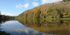 Thanks to Gillian Cartwright for sending in this fantastic image of Queen's Marsh in flood!