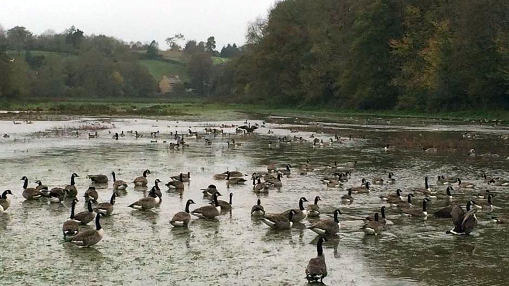 Food and Farming blog: Wetland restoration vision takes shape