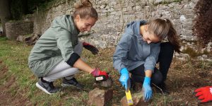 Volunteers from the Language of Totnes School help clear and clean Deer Park wall rubble