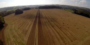 The field at Dartington proposed for agroforestry use