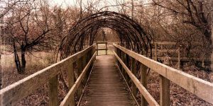 Viewing platform overlooking Berrymans Marsh