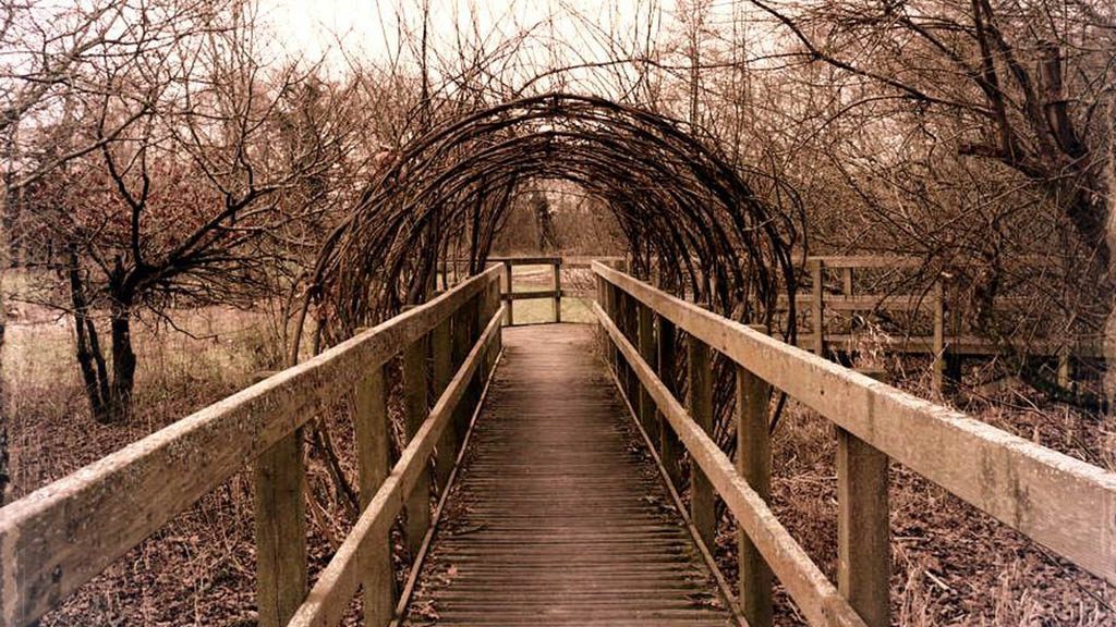 Conservation diary: How we’re helping wildlife thrive at Berryman’s Marsh