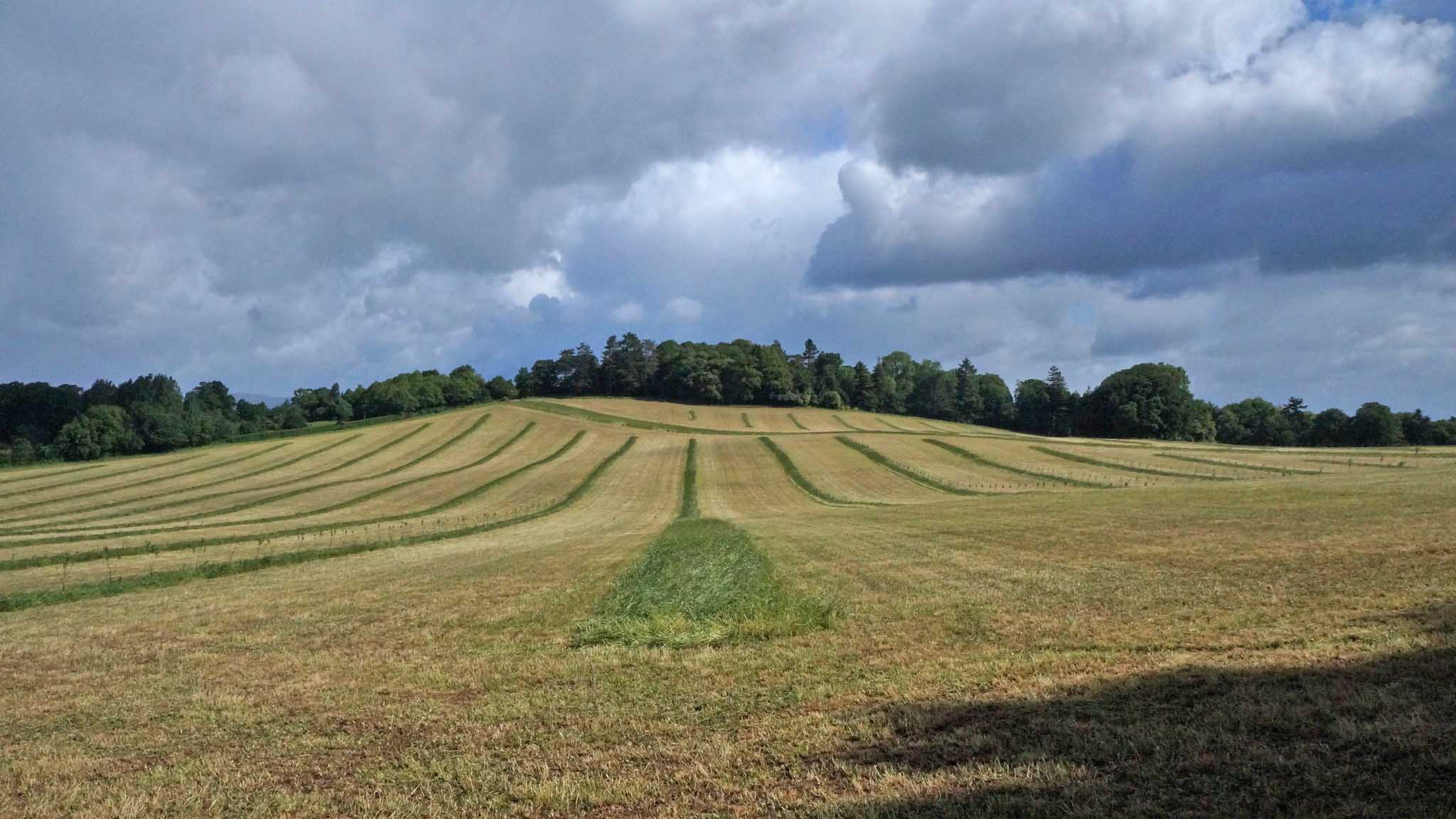 Agroforestry: Our mistakes don’t have to be your mistakes