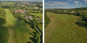 queen's marsh montage