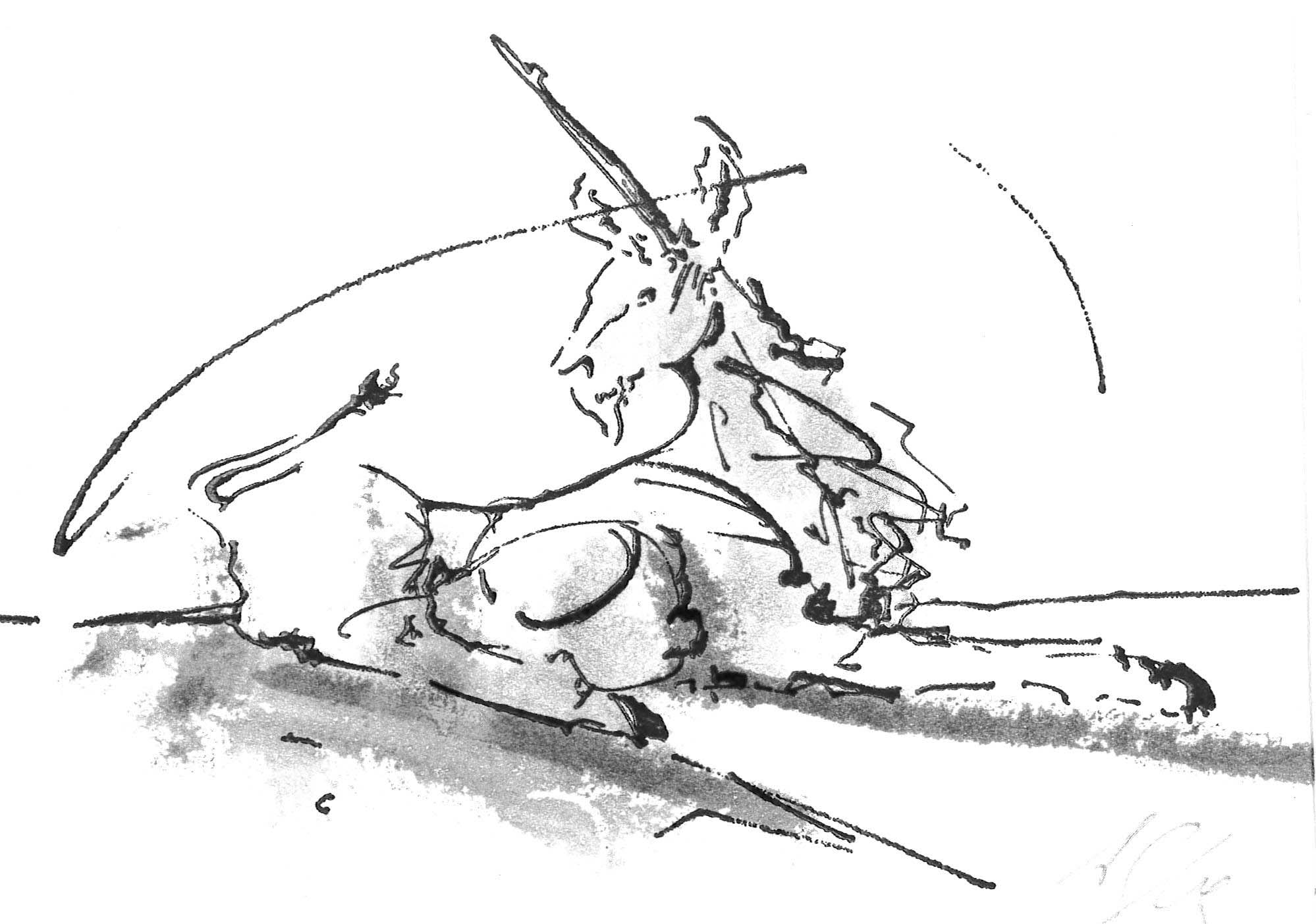 The Unicorn and the White Hole