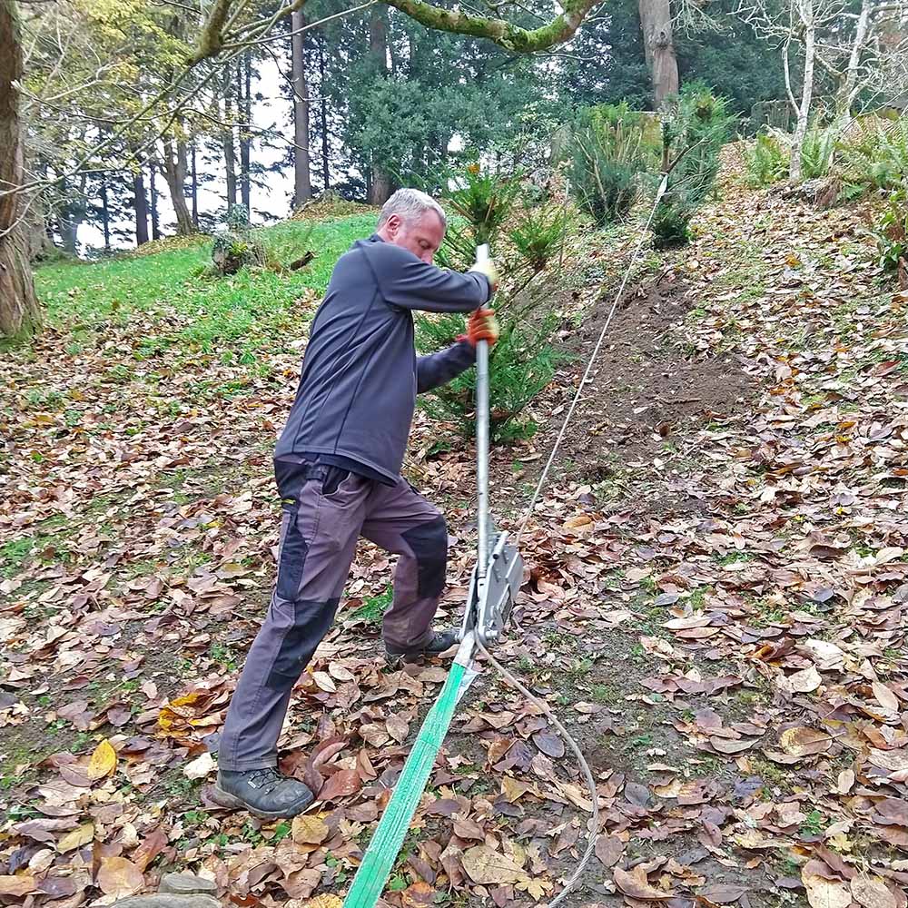 To hedge or not to hedge? That is the question