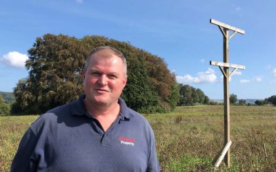 Rapturous raptors: encouraging birds of prey at Dartington