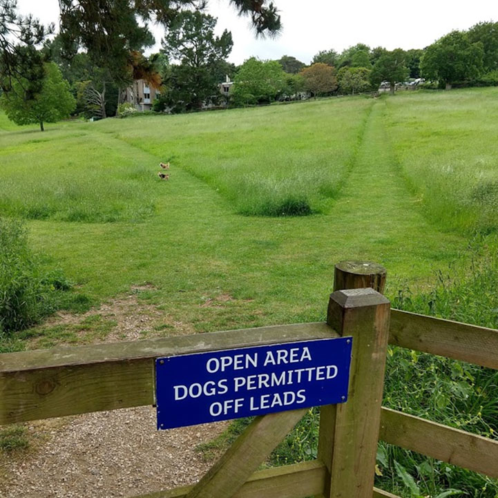 dog friendly area at Dartington