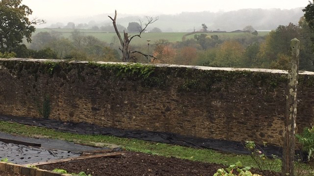 Morning mist at the Walled Garden