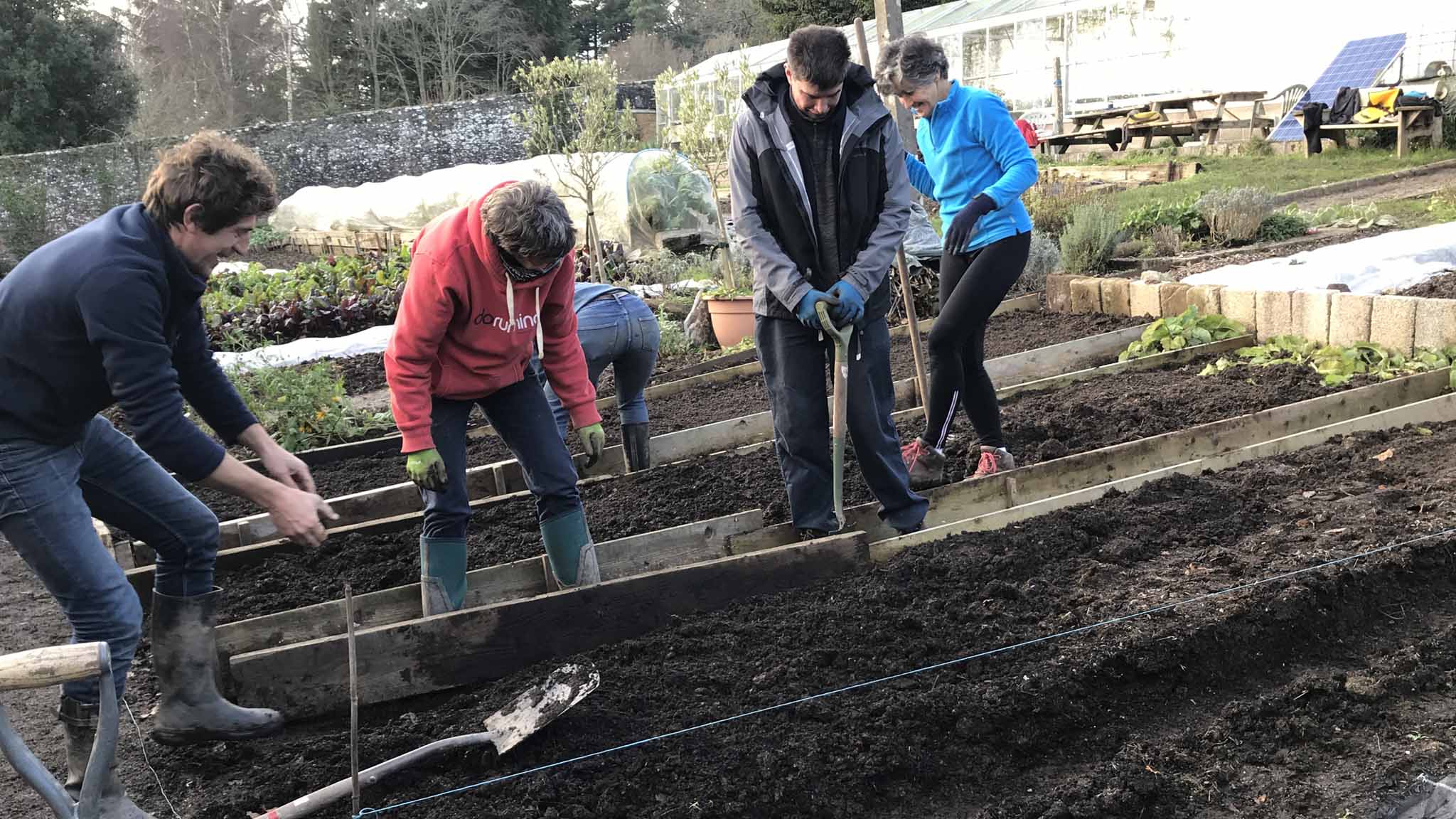 Planting raised beds Walled Garden