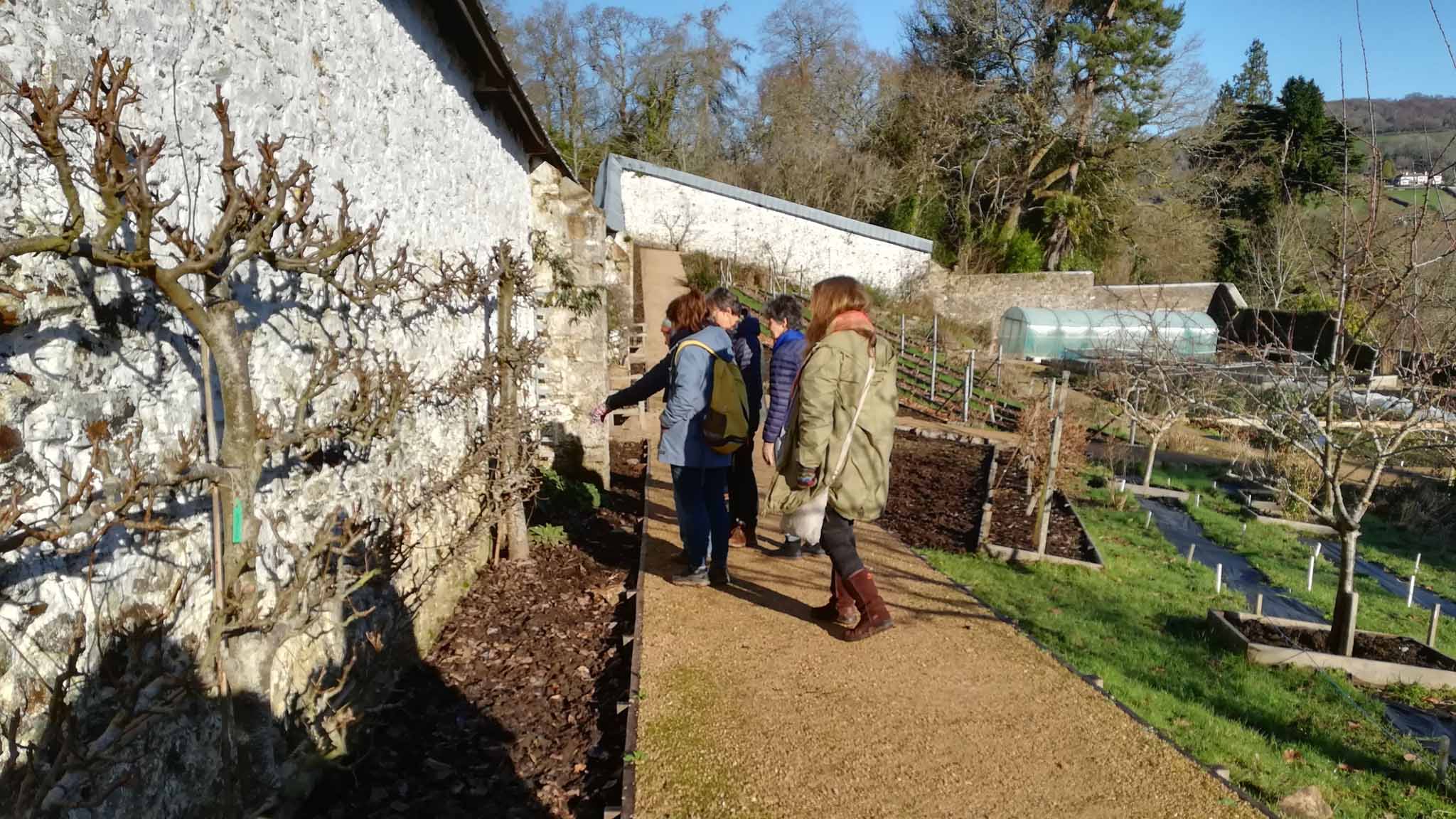 The Walled Garden volunteer team visit Parke in Bovey Tracey