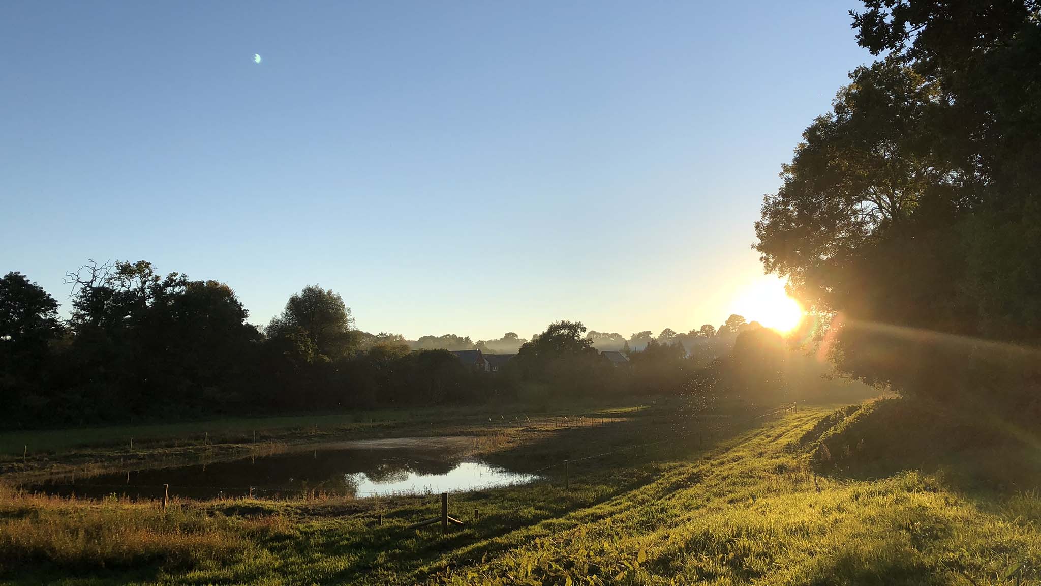 Queen's Marsh at daybreak