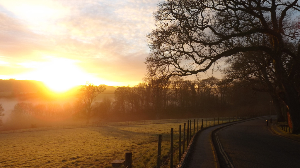 Lower Drive, Dartington, at Sunrise