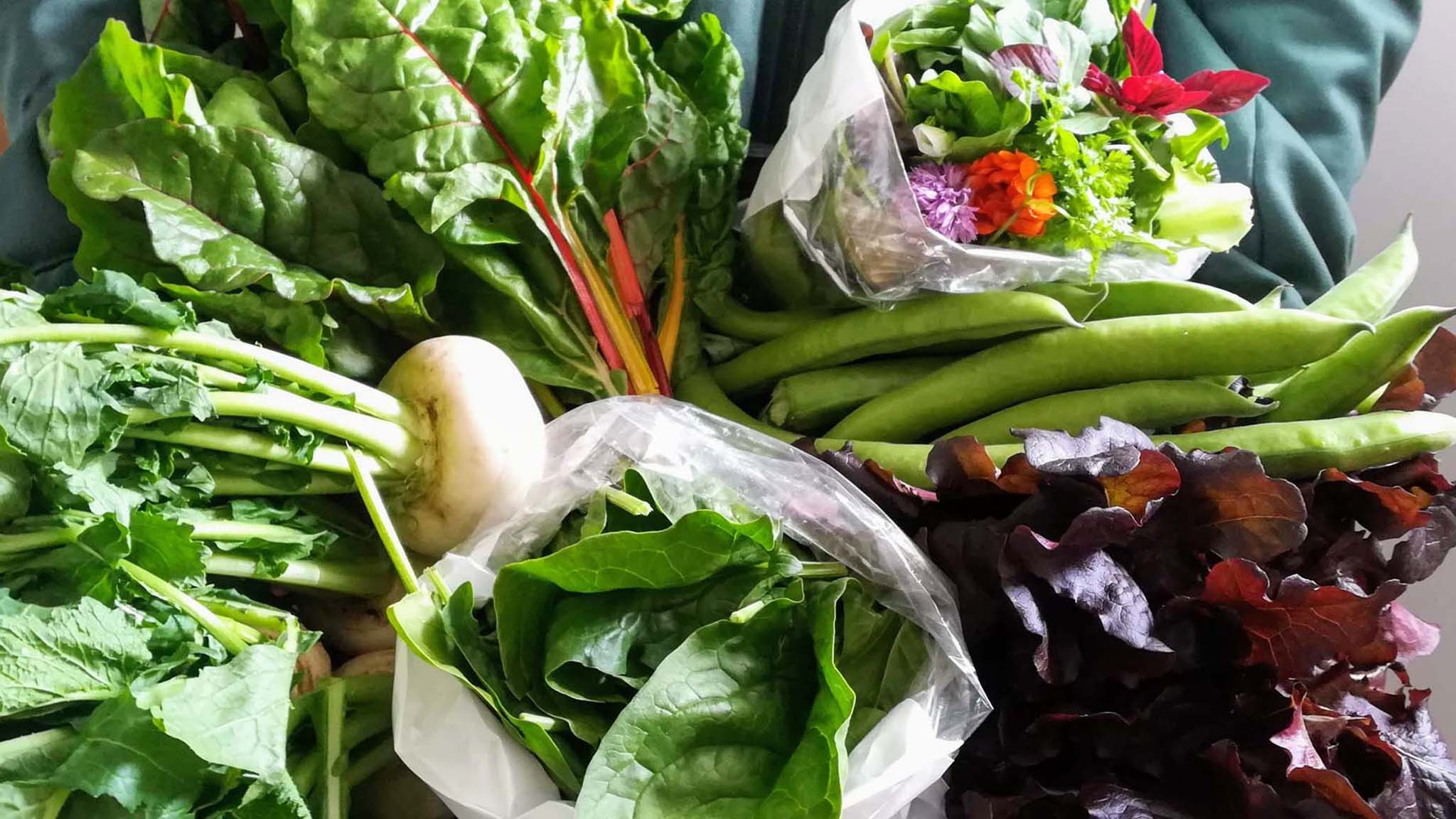 Walled Garden vegetables harvested in May