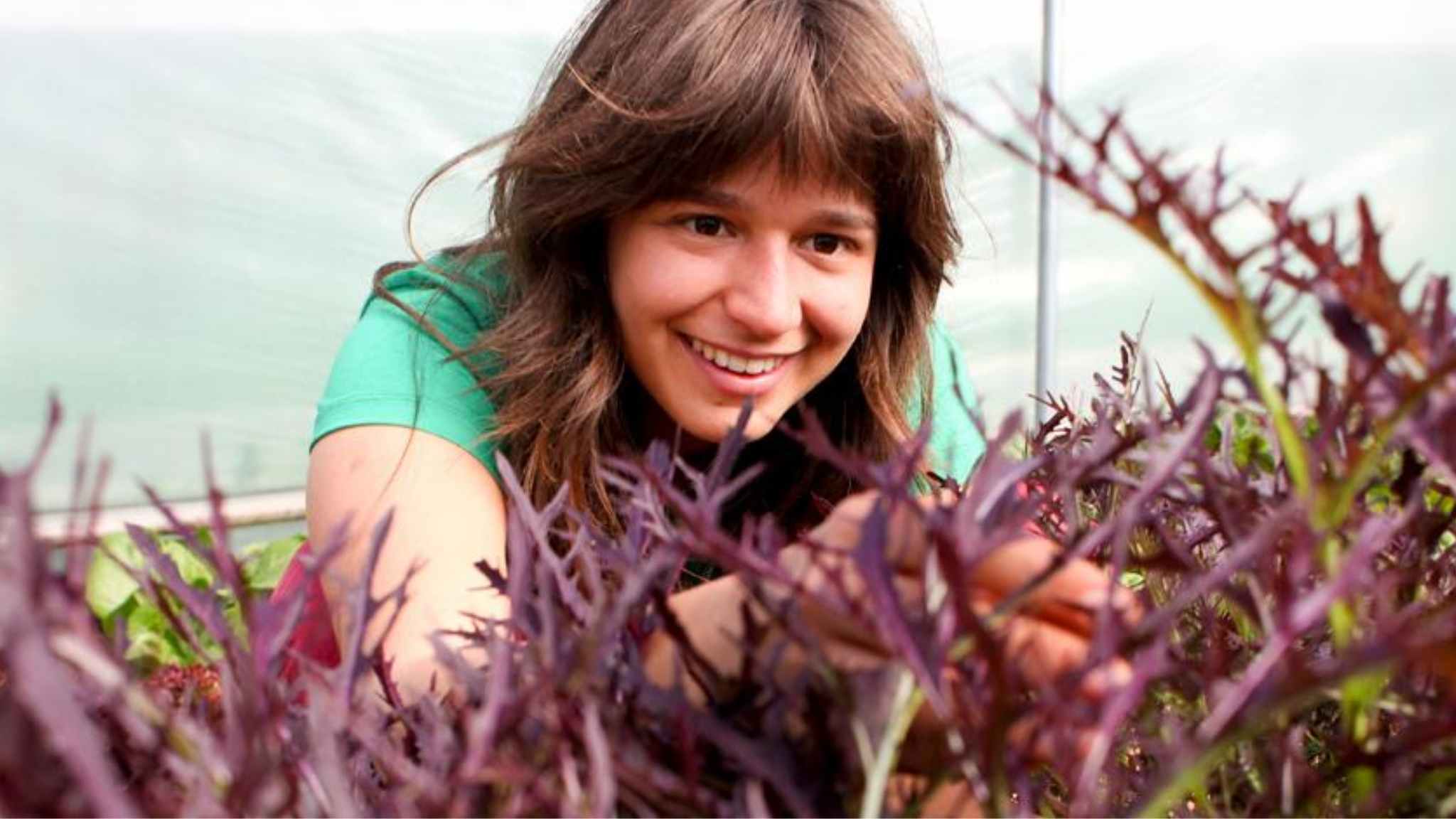 horticulture student at Schumacher College