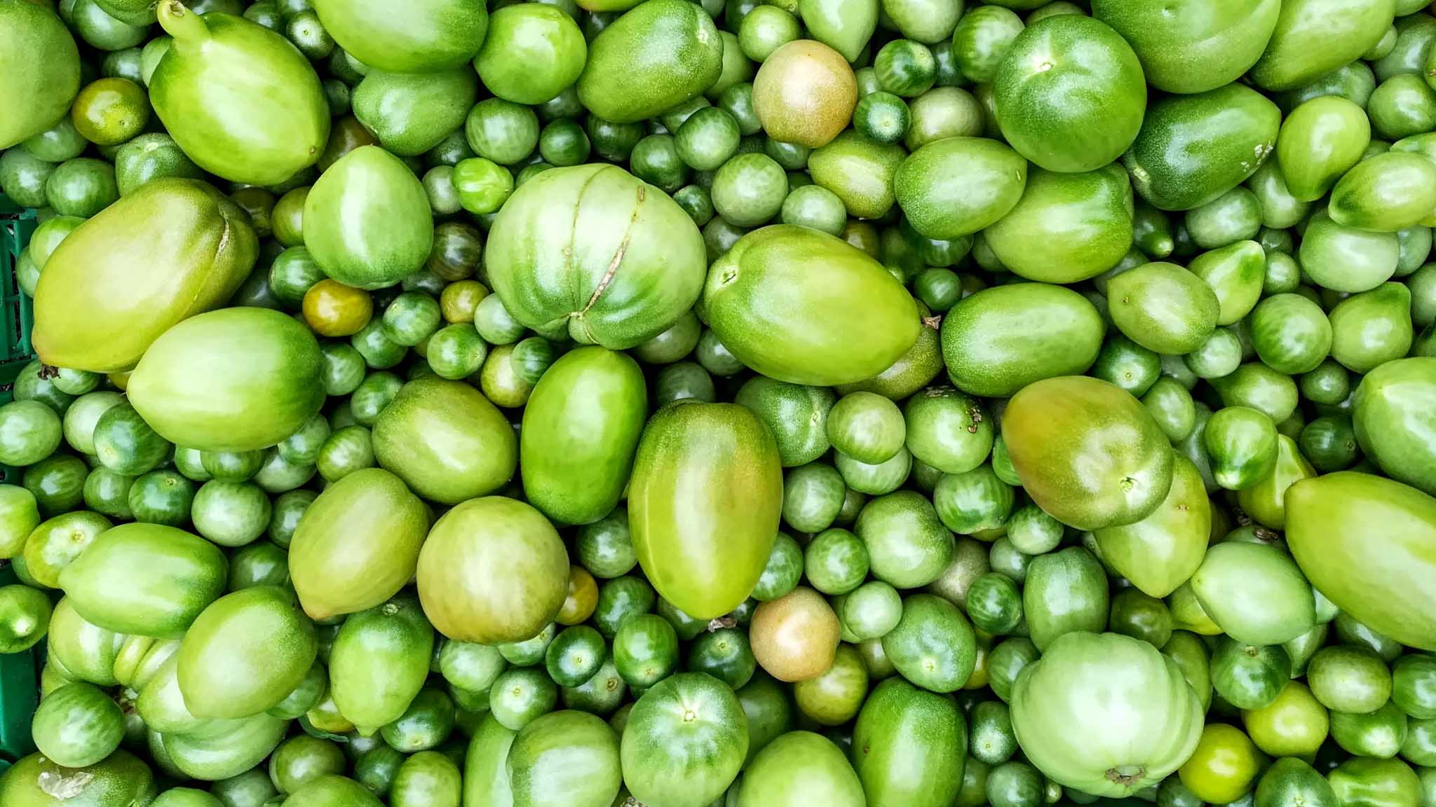 Green tomatoes