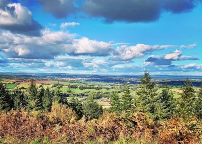 Sophie Lovett - Haldon Forest Park