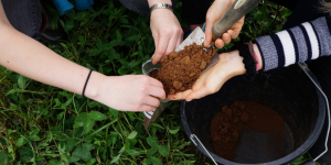 Soil survey at Dartington