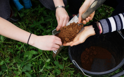 In praise of soils: World Soil Day