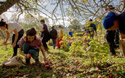 Caroline Aitken: Regenerative farming and the education landscape