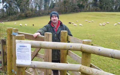 Plea for dog owners to take care around livestock