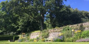 Sunny border in the gardens at Dartington