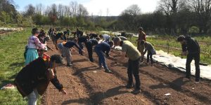 Engaged Ecology students sowing flax seeds in Henri's Field