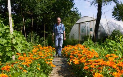 Holistic Science: a 30 year legacy at Schumacher College