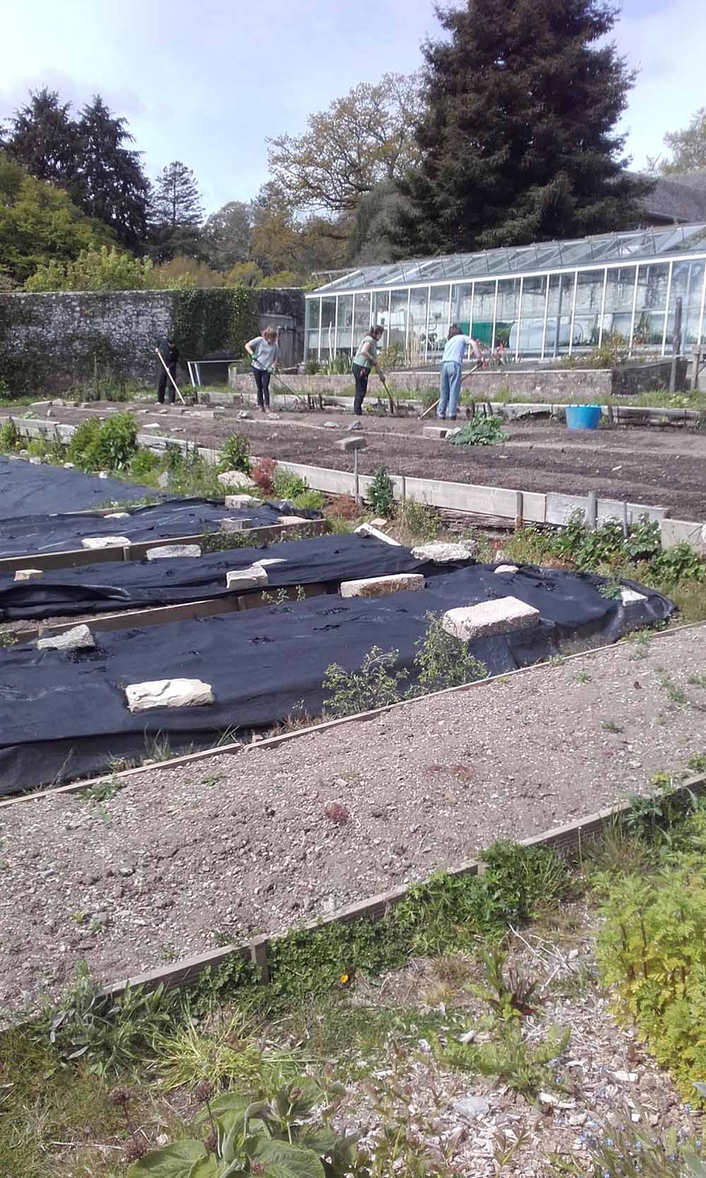 Wide shot of the beds outside