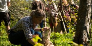 Students picking apples