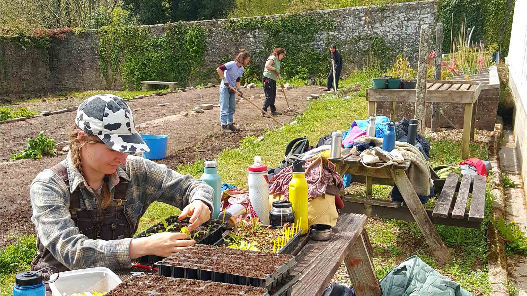 at work in the walled garden