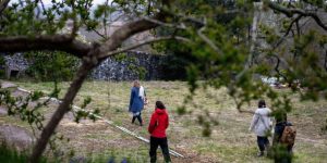 A walking performance on the Dartington estate