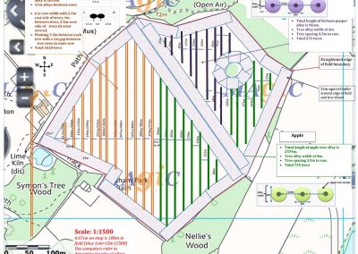 Agroforestry field as marked out January 2017