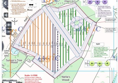 Agroforestry field as marked out November 16