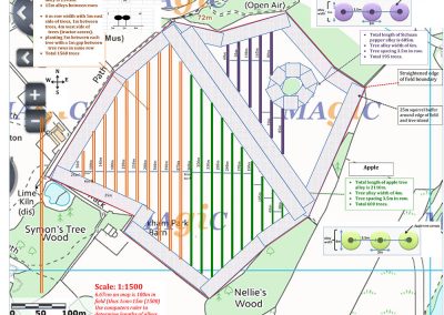 Agroforestry field as marked out October 16