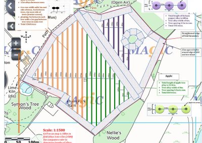 Agroforestry field as marked out October 16