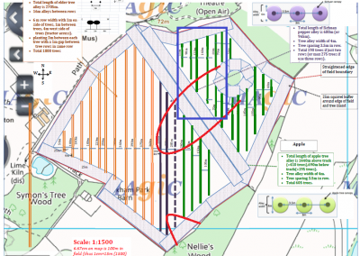 Agroforestry field with bad soil patches marked, December 2016