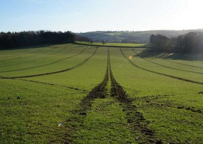 Bottom half of field fully marked out