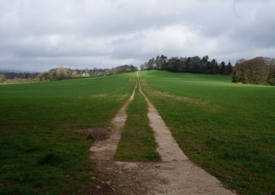 Broadlears agroforestry field East corner, March 2017